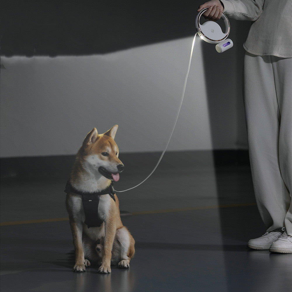 Automatic LED Dog Leash – Retractable & Safe Night Walks
