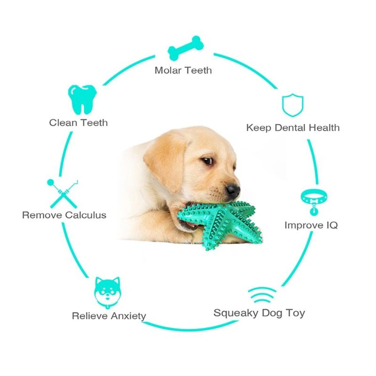 Playful Starfish Chew for Cleaner Dog Teeth