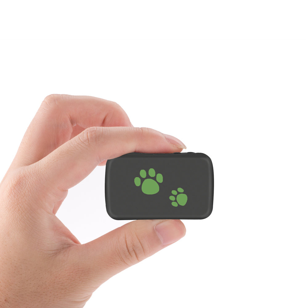 Pet GPS Tracker – Anti-Lost Safety Device
